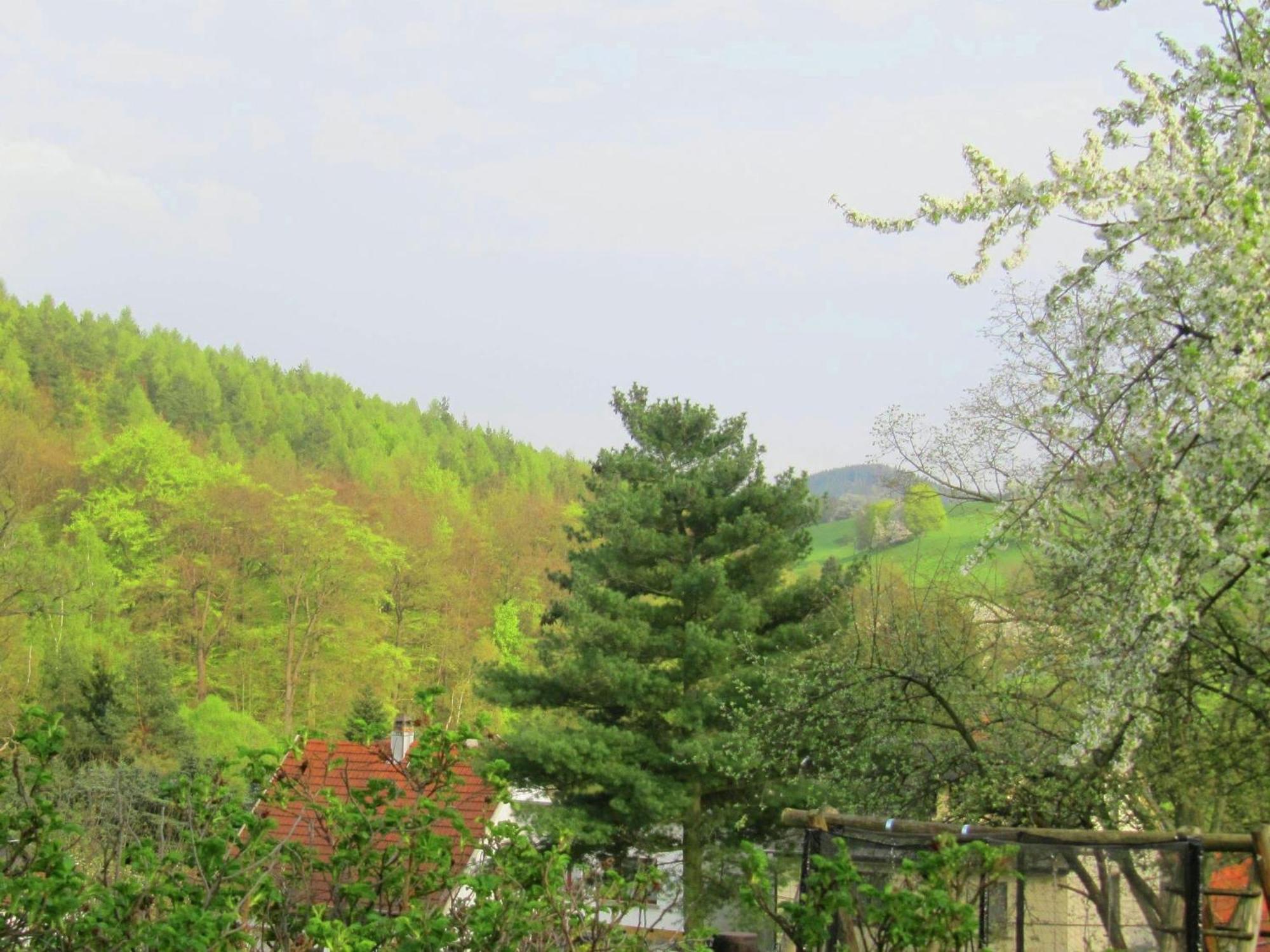 Vakantiehuis Near Forest In Fischbach *