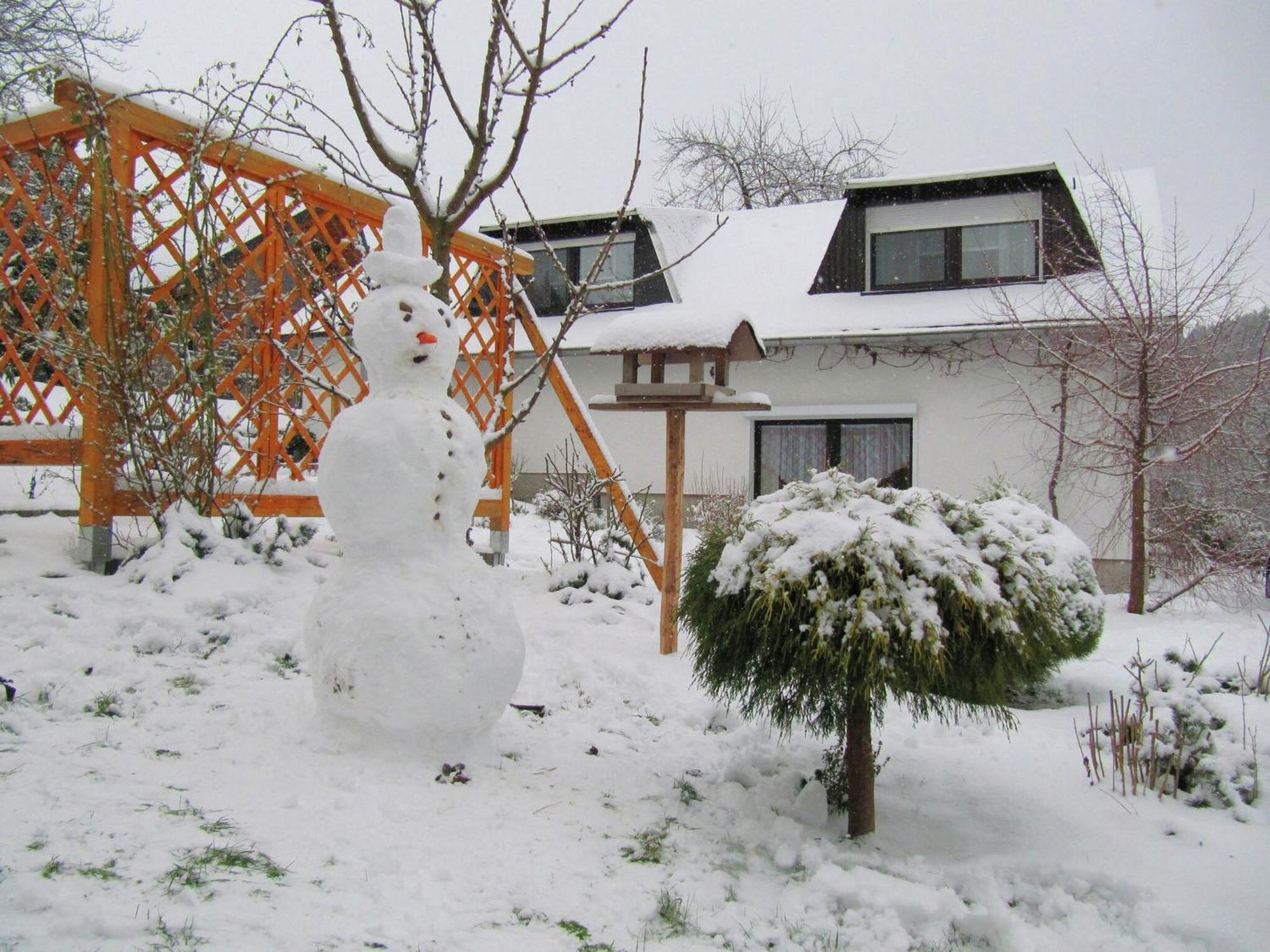 Near Forest In Fischbach